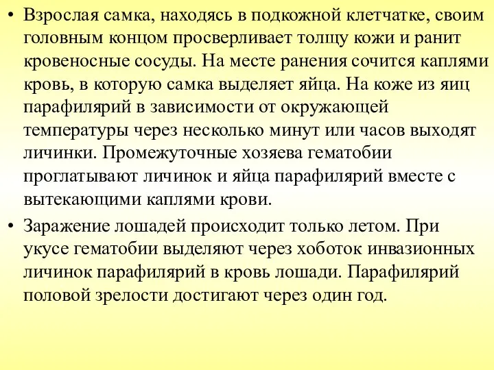 Взрослая самка, находясь в подкожной клетчатке, своим головным концом просверливает толщу