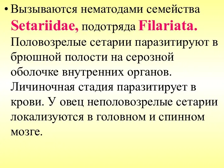 Вызываются нематодами семейства Setariidae, подотряда Filariata. Половозрелые сетарии паразитируют в брюшной