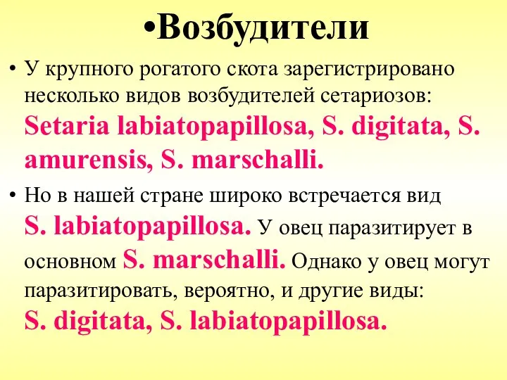 Возбудители У крупного рогатого скота зарегистрировано несколько видов возбудителей сетариозов: Setaria