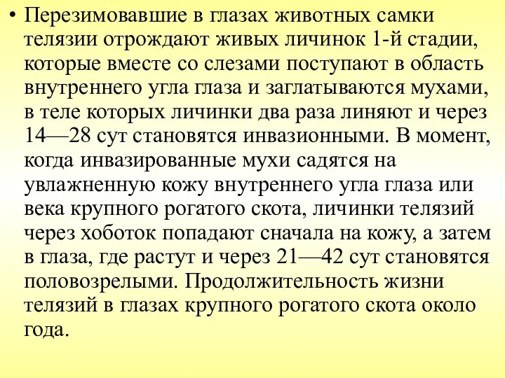 Перезимовавшие в глазах животных самки телязии отрождают живых личинок 1-й стадии,