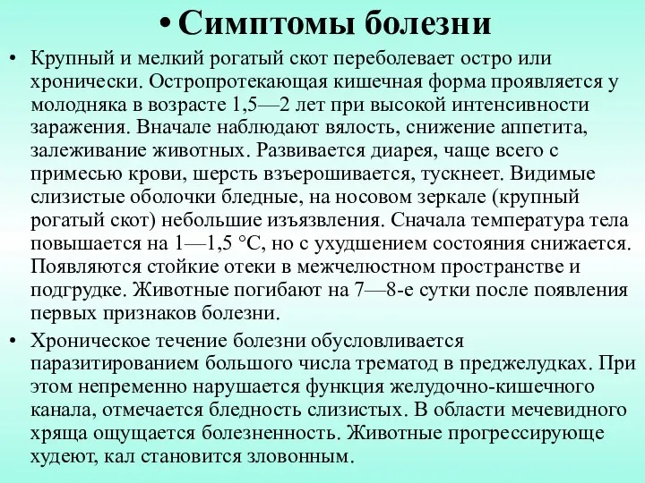 Симптомы болезни Крупный и мелкий рогатый скот переболевает остро или хронически.