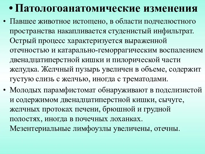 Патологоанатомические изменения Павшее животное истощено, в области подчелюстного пространства накапливается студенистый