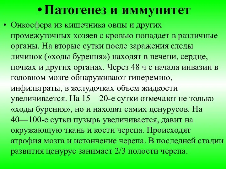 Патогенез и иммунитет Онкосфера из кишечника овцы и других промежуточных хозяев