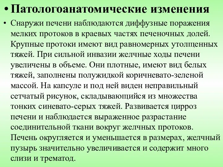 Патологоанатомические изменения Снаружи печени наблюдаются диффузные поражения мелких протоков в краевых