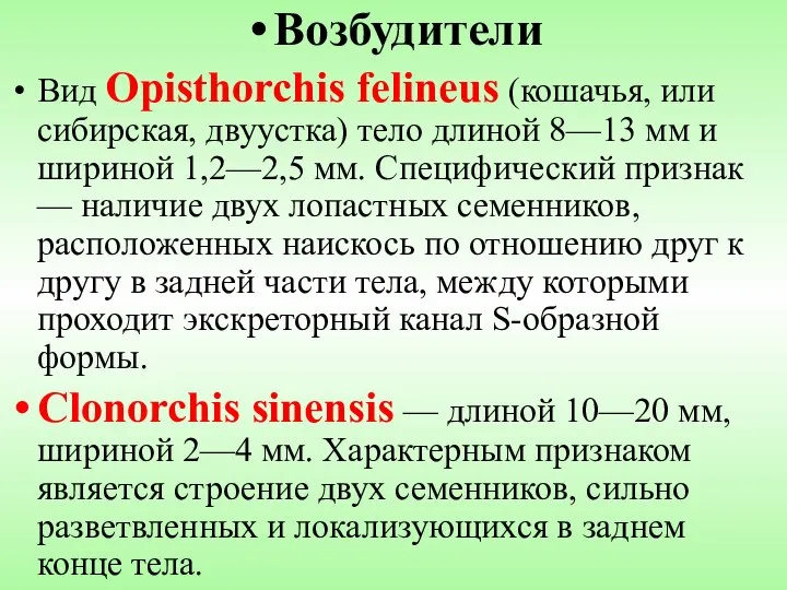 Возбудители Вид Opisthorchis felineus (кошачья, или сибирская, двуустка) тело длиной 8—13