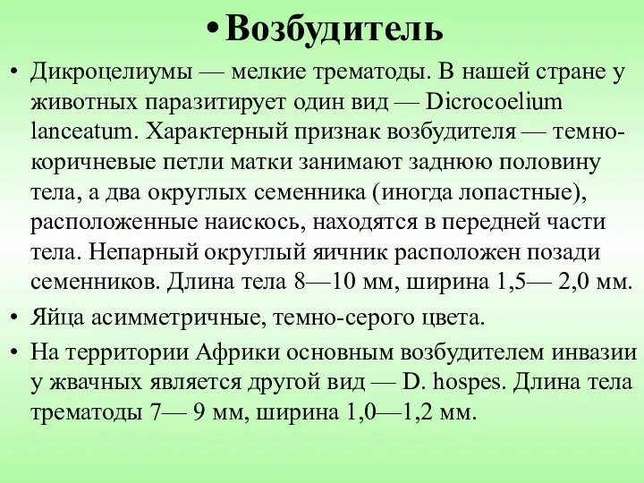 Возбудитель Дикроцелиумы — мелкие трематоды. В нашей стране у животных паразитирует