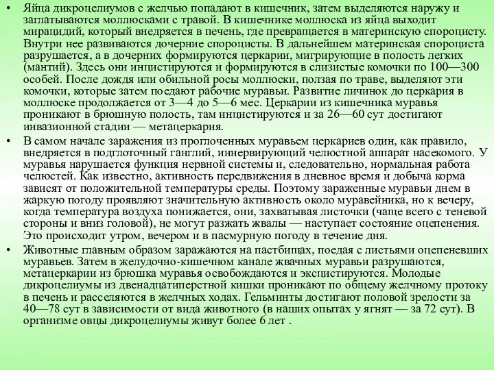 Яйца дикроцелиумов с желчью попадают в кишечник, затем выделяются наружу и