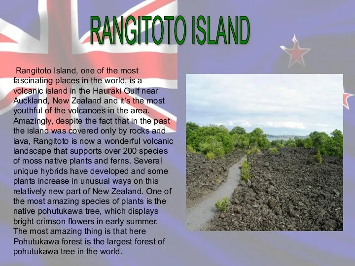 Rangitoto Island, one of the most fascinating places in the world,