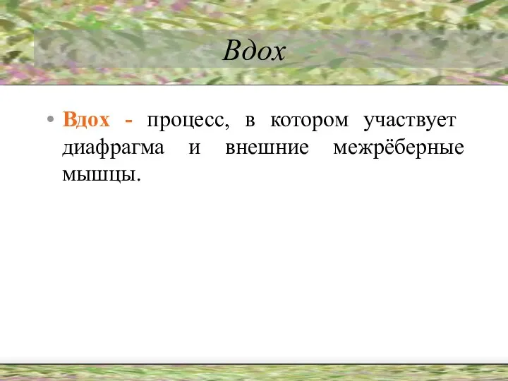 Вдох Вдох - процесс, в котором участвует диафрагма и внешние межрёберные мышцы.