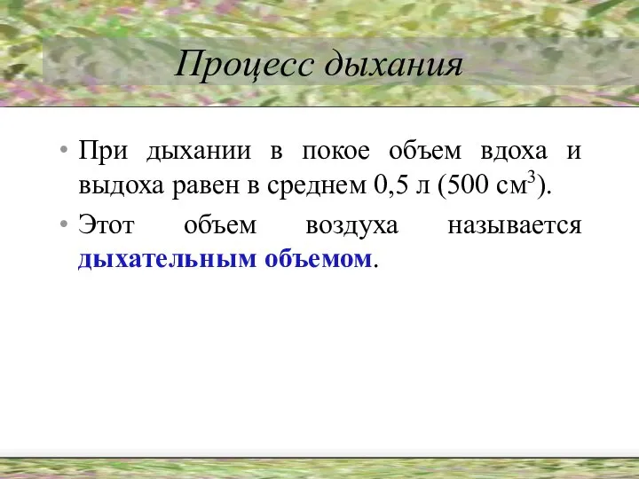 Процесс дыхания При дыхании в покое объем вдоха и выдоха равен