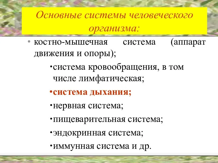 Основные системы человеческого организма: костно-мышечная система (аппарат движения и опоры); система