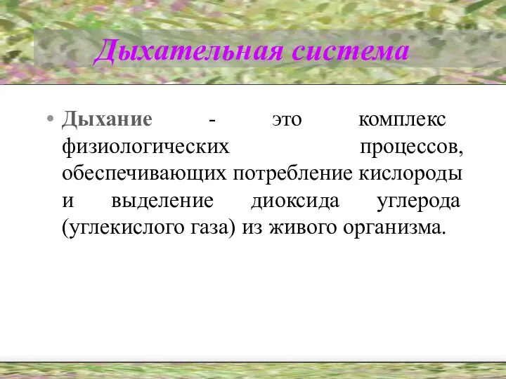 Дыхательная система Дыхание - это комплекс физиологических процессов, обеспечивающих потребление кислороды