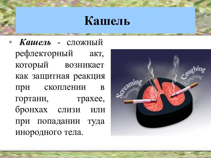 Кашель Кашель - сложный рефлекторный акт, который возникает как защитная реакция