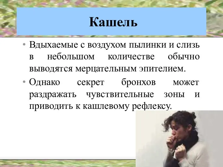 Кашель Вдыхаемые с воздухом пылинки и слизь в небольшом количестве обычно