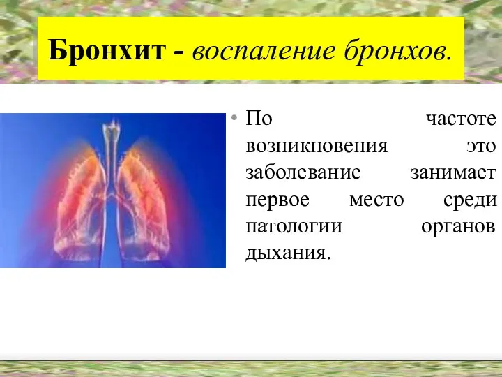 Бронхит - воспаление бронхов. По частоте возникновения это заболевание занимает первое место среди патологии органов дыхания.