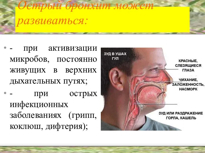 Острый бронхит может развиваться: - при активизации микробов, постоянно живущих в