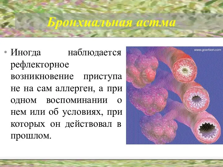 Бронхиальная астма Иногда наблюдается рефлекторное возникновение приступа не на сам аллерген,