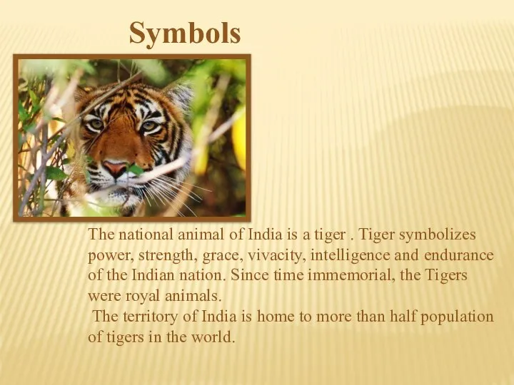 The national animal of India is a tiger . Tiger symbolizes