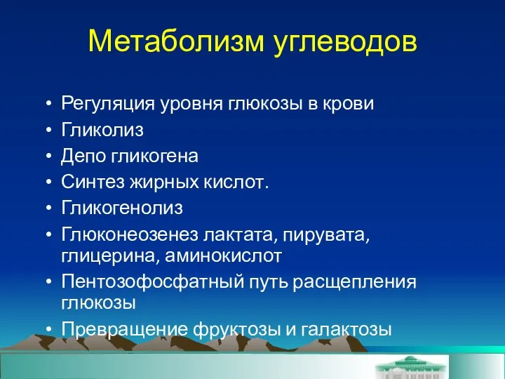 Метаболизм углеводов Регуляция уровня глюкозы в крови Гликолиз Депо гликогена Синтез