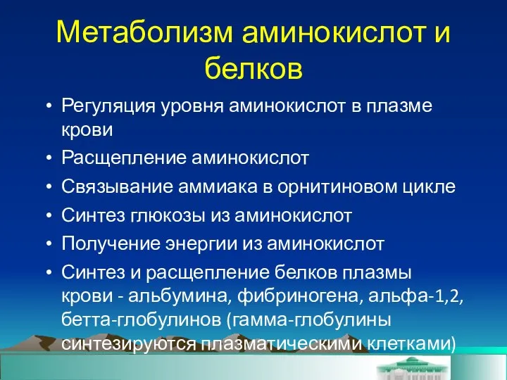 Метаболизм аминокислот и белков Регуляция уровня аминокислот в плазме крови Расщепление