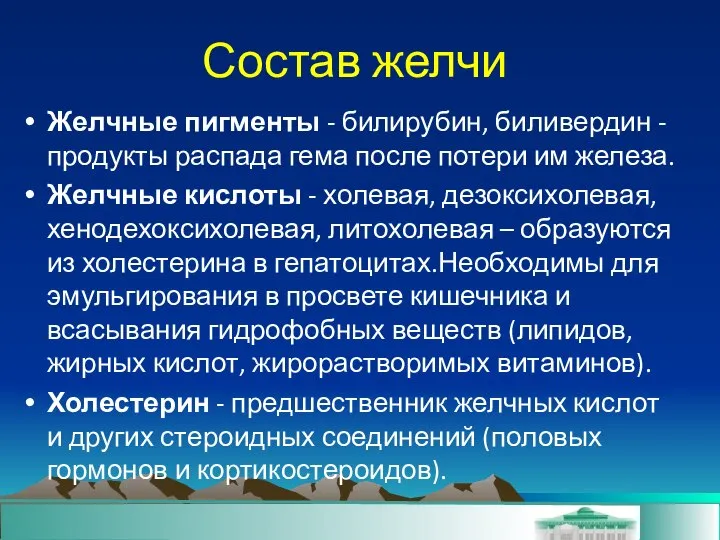 Состав желчи Желчные пигменты - билирубин, биливердин - продукты распада гема