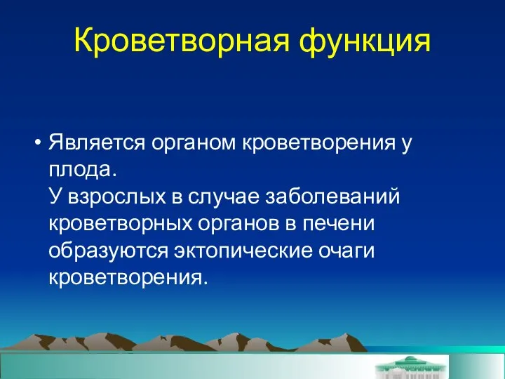 Кроветворная функция Является органом кроветворения у плода. У взрослых в случае