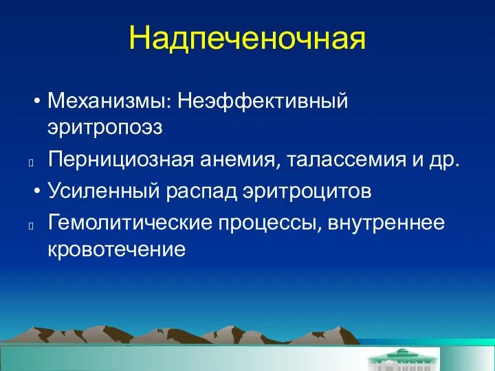 Надпеченочная Механизмы: Неэффективный эритропоэз Пернициозная анемия, талассемия и др. Усиленный распад эритроцитов Гемолитические процессы, внутреннее кровотечение