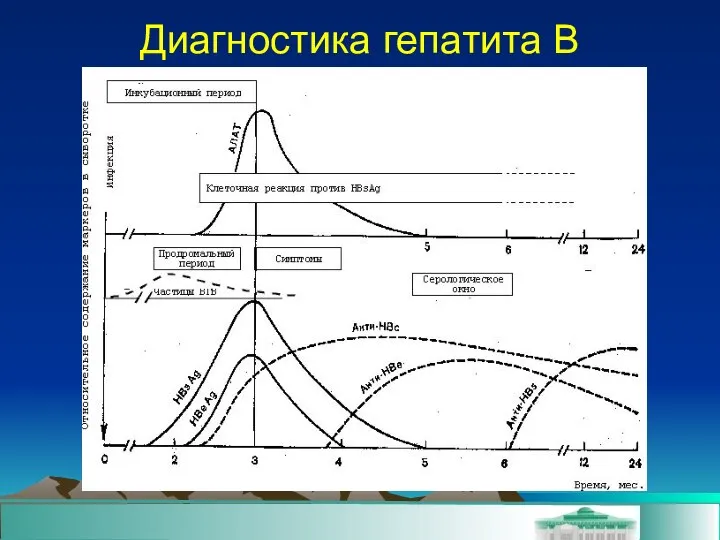 Диагностика гепатита В