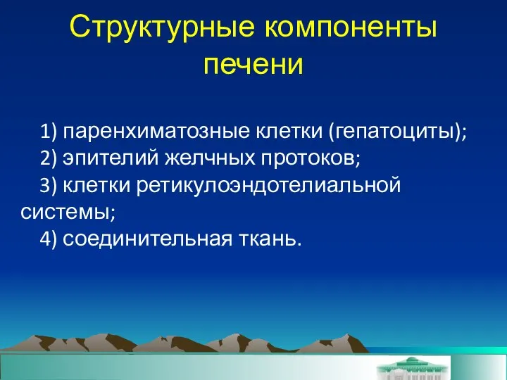 1) паренхиматозные клетки (гепатоциты); 2) эпителий желчных протоков; 3) клетки ретикулоэндотелиальной