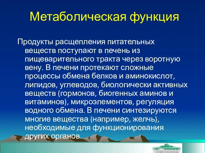 Метаболическая функция Продукты расщепления питательных веществ поступают в печень из пищеварительного