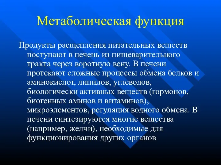 Метаболическая функция Продукты расщепления питательных веществ поступают в печень из пищеварительного