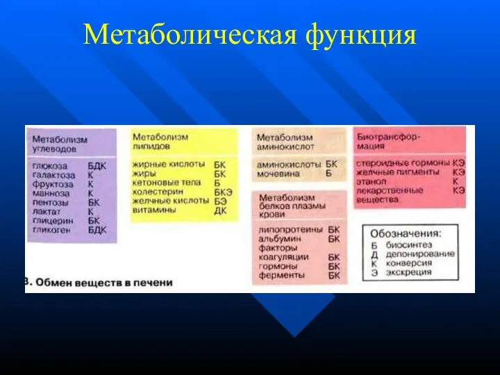 Метаболическая функция