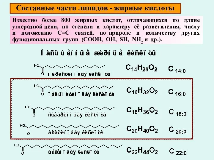 Составные части липидов - жирные кислоты Известно более 800 жирных кислот,