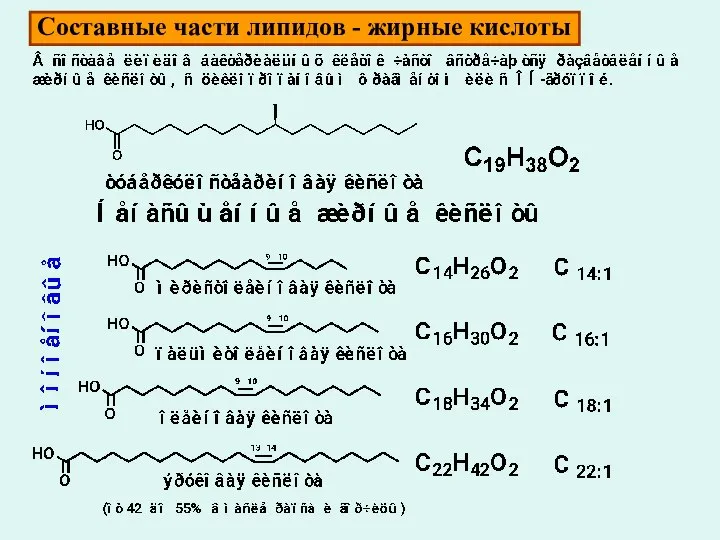 Составные части липидов - жирные кислоты