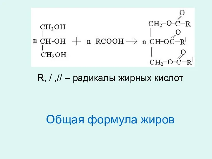 R, / ,// – радикалы жирных кислот Общая формула жиров