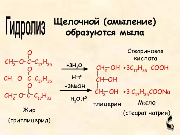 +3C17H35 COOH +3 C17H35COONa Жир (триглицерид) глицерин Мыло (стеарат натрия) Гидролиз