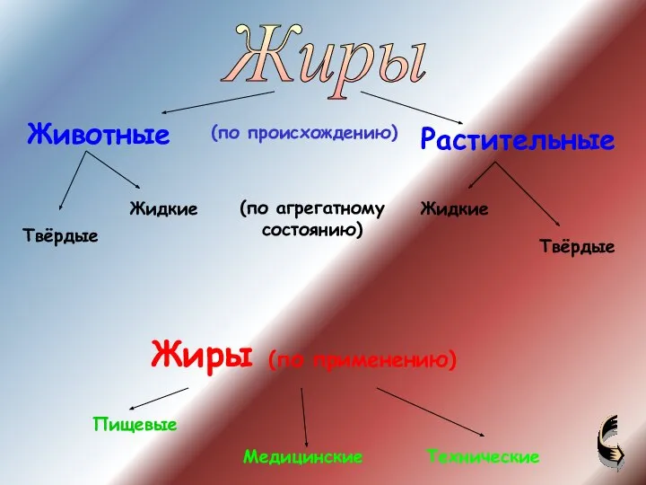 Животные Растительные Жиры Твёрдые Жидкие Твёрдые Жидкие Жиры (по применению) Пищевые