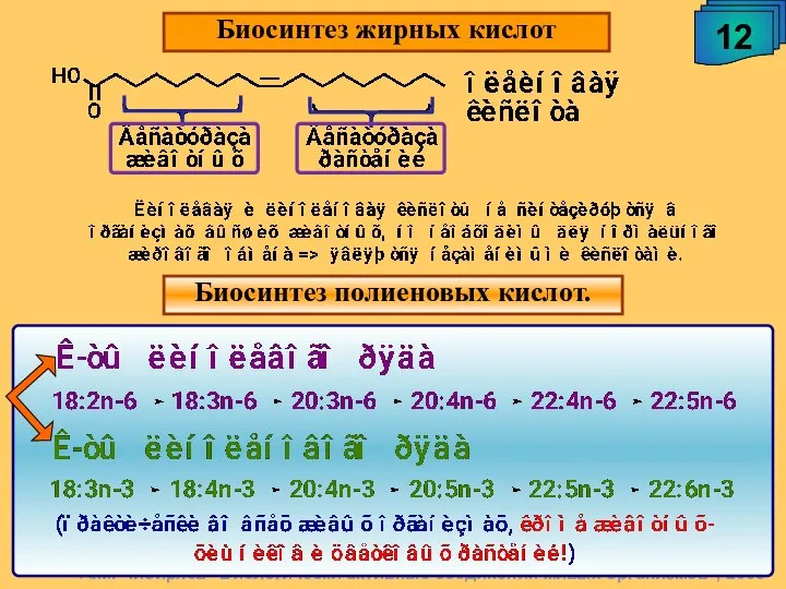 А.М. Чибиряев "Биологически активные соединения живых организмов", 2009 12 Биосинтез жирных кислот Биосинтез полиеновых кислот.