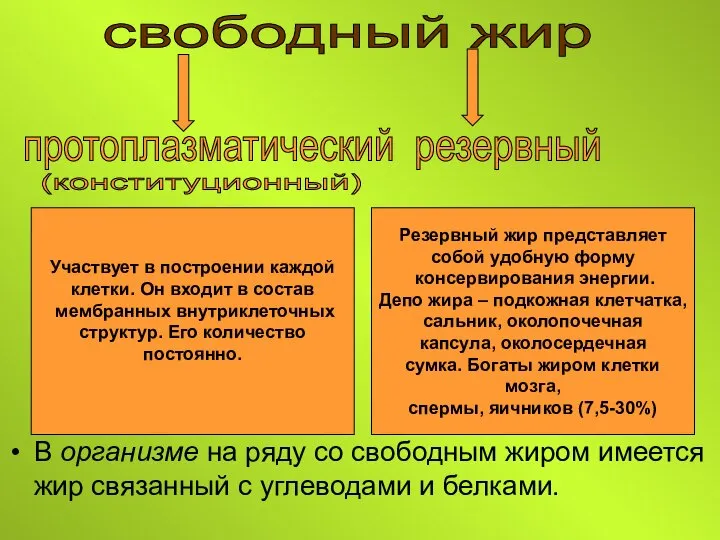 В организме на ряду со свободным жиром имеется жир связанный с