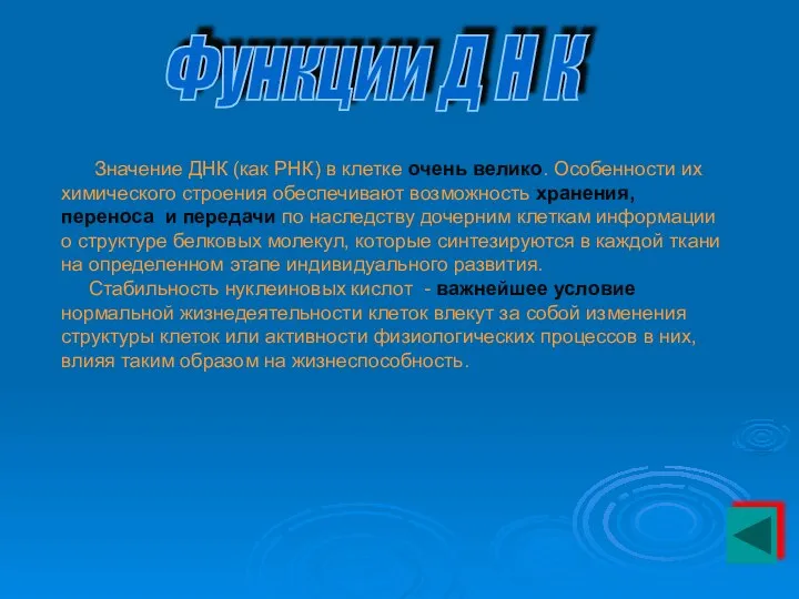 Значение ДНК (как РНК) в клетке очень велико. Особенности их химического