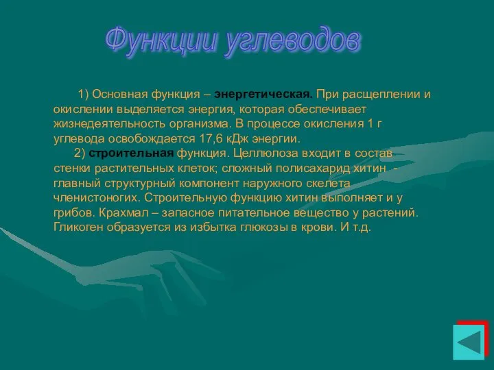 Функции углеводов 1) Основная функция – энергетическая. При расщеплении и окислении