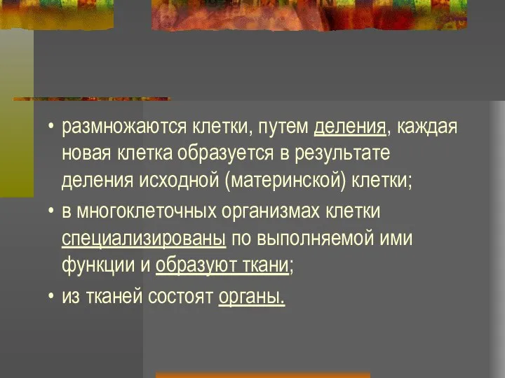 размножаются клетки, путем деления, каждая новая клетка образуется в результате деления