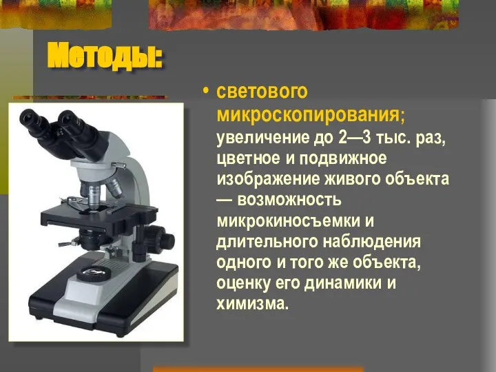 Методы: светового микроскопирования; увеличение до 2—3 тыс. раз, цветное и подвижное