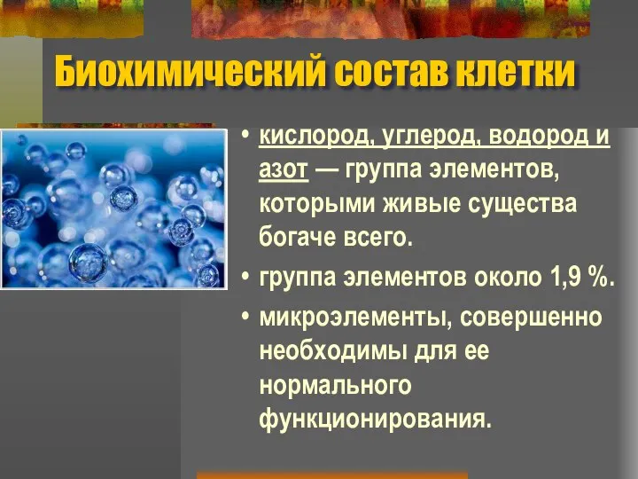 Биохимический состав клетки кислород, углерод, водород и азот — группа элементов,