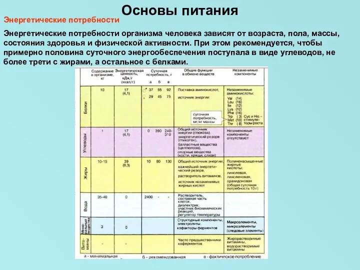 Основы питания Энергетические потребности Энергетические потребности организма человека зависят от возраста,