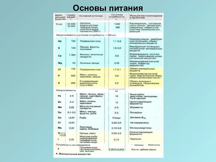 Основы питания