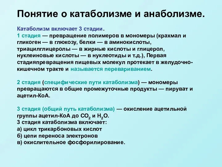 Катаболизм включает 3 стадии. 1 стадия — превращение полимеров в мономеры