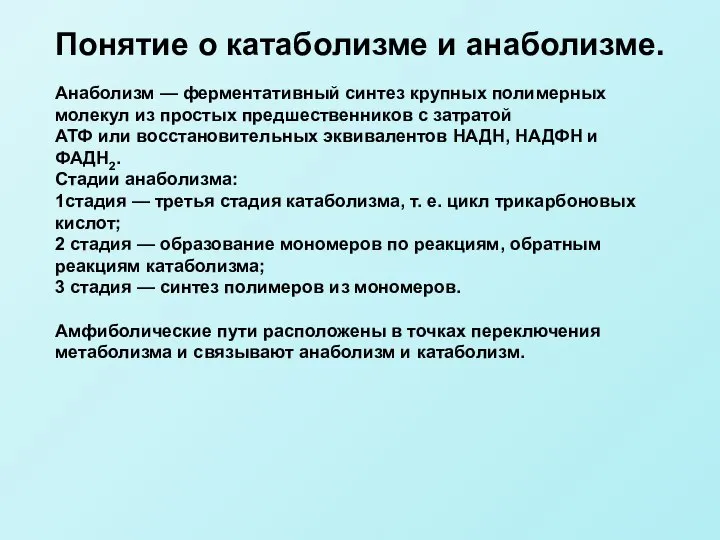 Анаболизм — ферментативный синтез крупных полимерных молекул из простых предшественников с