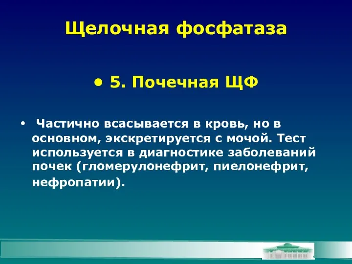 Щелочная фосфатаза 5. Почечная ЩФ Частично всасывается в кровь, но в