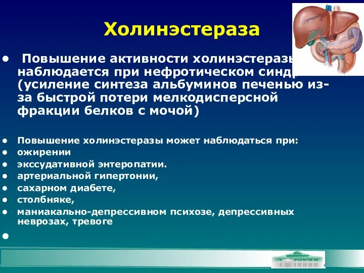 Холинэстераза Повышение активности холинэстеразы наблюдается при нефротическом синдроме (усиление синтеза альбуминов